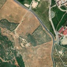 Satellite imagery of survey_point, DZ