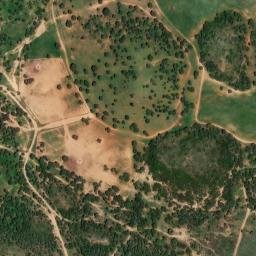 Satellite imagery of survey_point, DZ