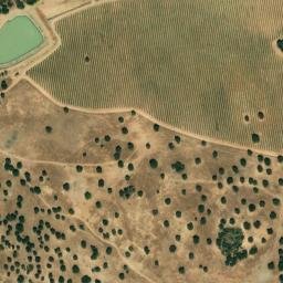Satellite imagery of survey_point, DZ
