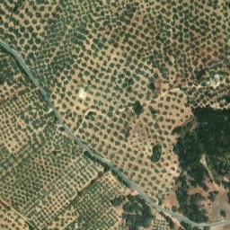 Satellite imagery of survey_point, DZ
