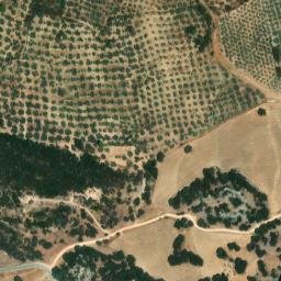 Satellite imagery of survey_point, DZ
