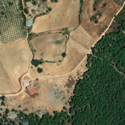 Satellite imagery of survey_point, DZ