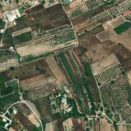 Satellite imagery of survey_point, DZ