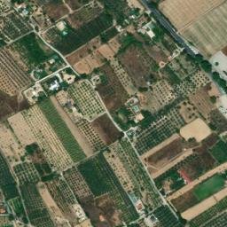 Satellite imagery of survey_point, DZ