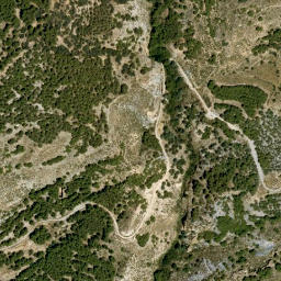 Satellite imagery of survey_point, DZ