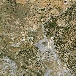 Satellite imagery of survey_point, DZ