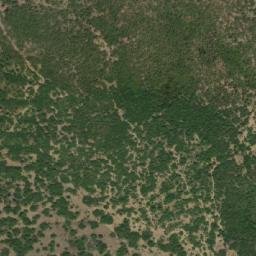 Satellite imagery of Raout el Fellah, DZ