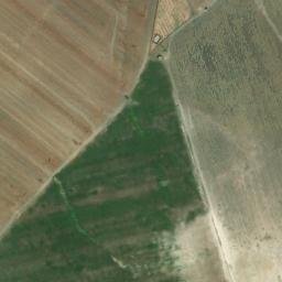 Satellite imagery of survey_point, DZ