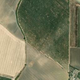 Satellite imagery of survey_point, DZ