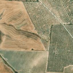 Satellite imagery of survey_point, DZ