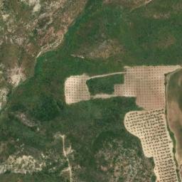 Satellite imagery of survey_point, DZ