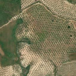 Satellite imagery of survey_point, DZ