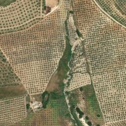 Satellite imagery of survey_point, DZ