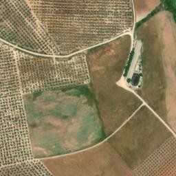 Satellite imagery of survey_point, DZ
