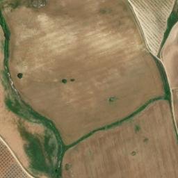Satellite imagery of survey_point, DZ
