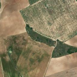 Satellite imagery of survey_point, DZ