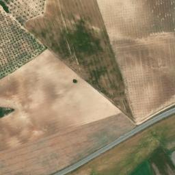Satellite imagery of survey_point, DZ