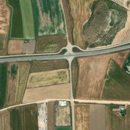 Satellite imagery of survey_point, DZ