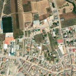 Satellite imagery of survey_point, DZ