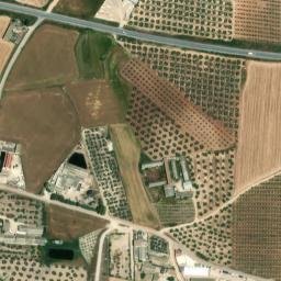Satellite imagery of survey_point, DZ