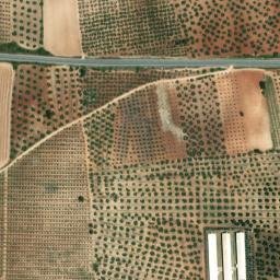 Satellite imagery of survey_point, DZ