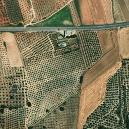 Satellite imagery of survey_point, DZ