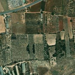 Satellite imagery of survey_point, DZ