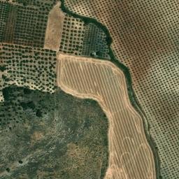 Satellite imagery of survey_point, DZ