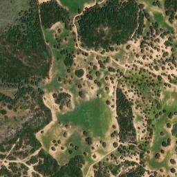 Satellite imagery of survey_point, DZ