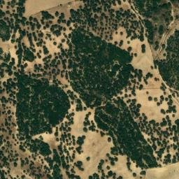 Satellite imagery of survey_point, DZ