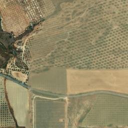 Satellite imagery of survey_point, DZ