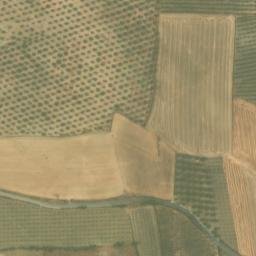 Satellite imagery of survey_point, DZ