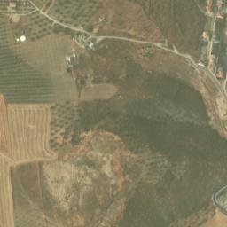 Satellite imagery of survey_point, DZ