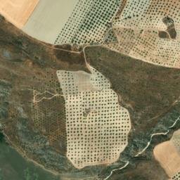 Satellite imagery of survey_point, DZ