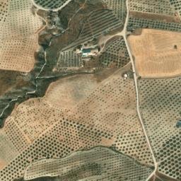Satellite imagery of survey_point, DZ