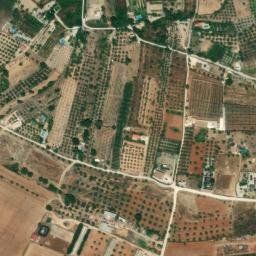 Satellite imagery of survey_point, DZ