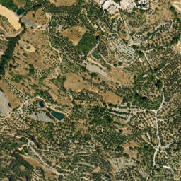 Satellite imagery of survey_point, DZ