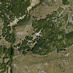 Satellite imagery of survey_point, DZ