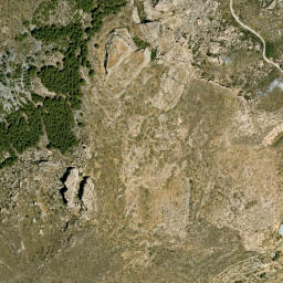 Satellite imagery of survey_point, DZ