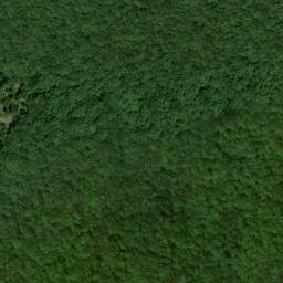 Satellite imagery of Snake Pond Ridge, US