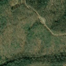 Satellite imagery of Fork Ridge, US
