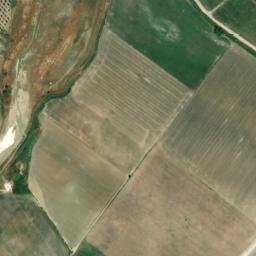 Satellite imagery of survey_point, DZ