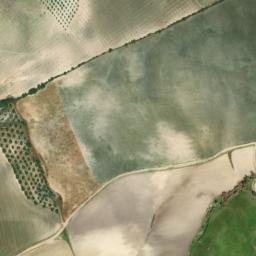 Satellite imagery of survey_point, DZ