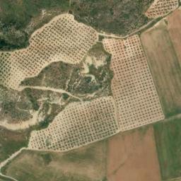 Satellite imagery of survey_point, DZ
