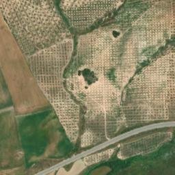 Satellite imagery of survey_point, DZ
