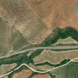 Satellite imagery of survey_point, DZ