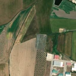 Satellite imagery of survey_point, DZ