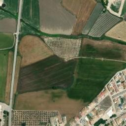 Satellite imagery of survey_point, DZ