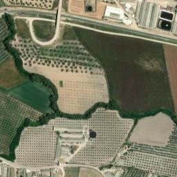 Satellite imagery of survey_point, DZ