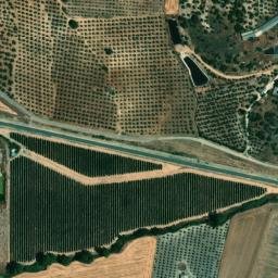 Satellite imagery of survey_point, DZ
